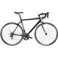 Trek 2.1 C